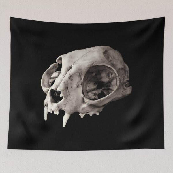 Item preview, Small Mammal Skull Vulture Culture Art designed and sold by qnvpewhwim55.