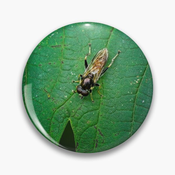 Item preview, Hoverfly Xylota segnis sitting on a leaf designed and sold by Stephen Jarman.