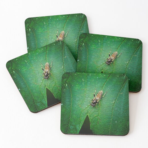 Item preview, Hoverfly Xylota segnis sitting on a leaf designed and sold by Stephen Jarman.
