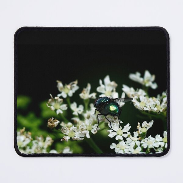Item preview, Green bottle fly sitting on a flower designed and sold by Stephen Jarman.