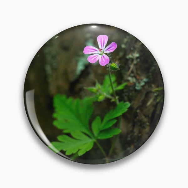 Item preview, Herb Robert (Geranium robertianum) designed and sold by Stephen Jarman.