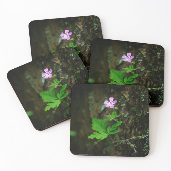 Item preview, Herb Robert (Geranium robertianum) designed and sold by Stephen Jarman.