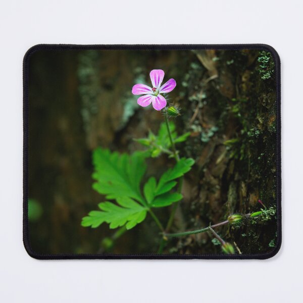 Item preview, Herb Robert (Geranium robertianum) designed and sold by Stephen Jarman.
