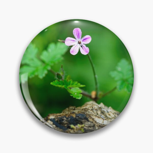 Item preview, Herb Robert (Geranium robertianum) designed and sold by Stephen Jarman.