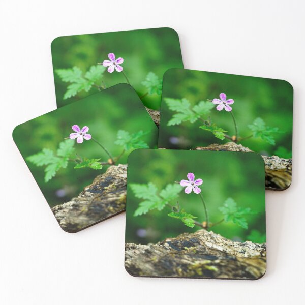 Item preview, Herb Robert (Geranium robertianum) designed and sold by Stephen Jarman.