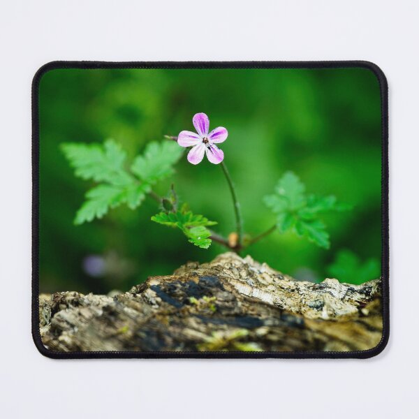 Item preview, Herb Robert (Geranium robertianum) designed and sold by Stephen Jarman.