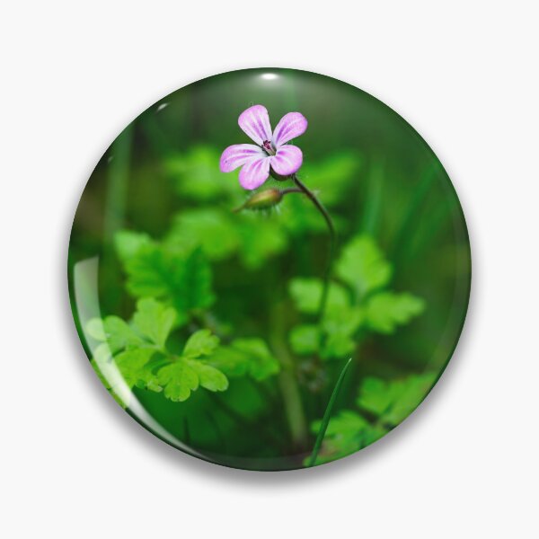 Item preview, Herb Robert (Geranium robertianum) surrounded by grass shoots designed and sold by Stephen Jarman.