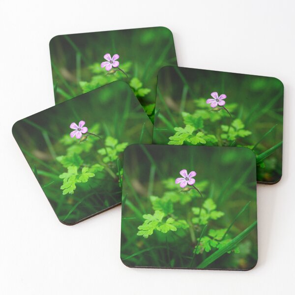 Item preview, Herb Robert (Geranium robertianum) surrounded by grass shoots designed and sold by Stephen Jarman.