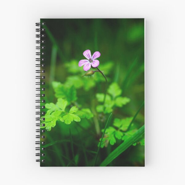 Item preview, Herb Robert (Geranium robertianum) surrounded by grass shoots designed and sold by Stephen Jarman.