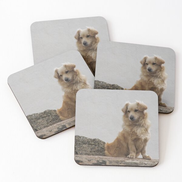 Item preview, Golden Fluffy Dog Sitting on Stone Wall Outdoor Portrait Showing Calm Curious Expression designed and sold by Nmallia.