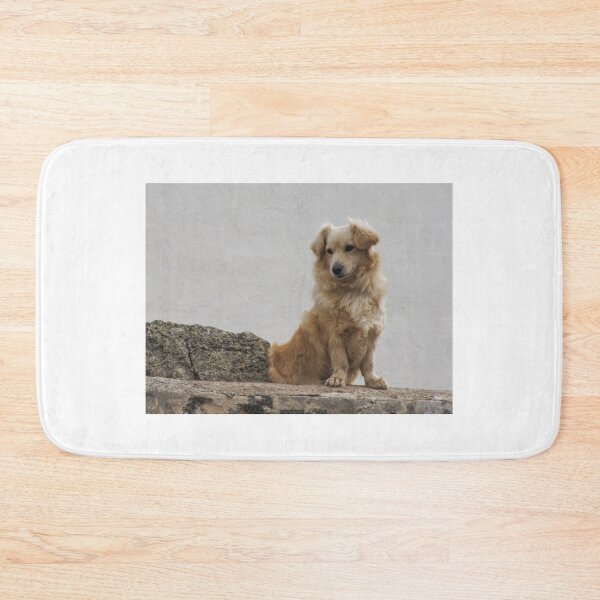Item preview, Golden Fluffy Dog Sitting on Stone Wall Outdoor Portrait Showing Calm Curious Expression designed and sold by Nmallia.