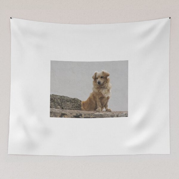 Item preview, Golden Fluffy Dog Sitting on Stone Wall Outdoor Portrait Showing Calm Curious Expression designed and sold by Nmallia.