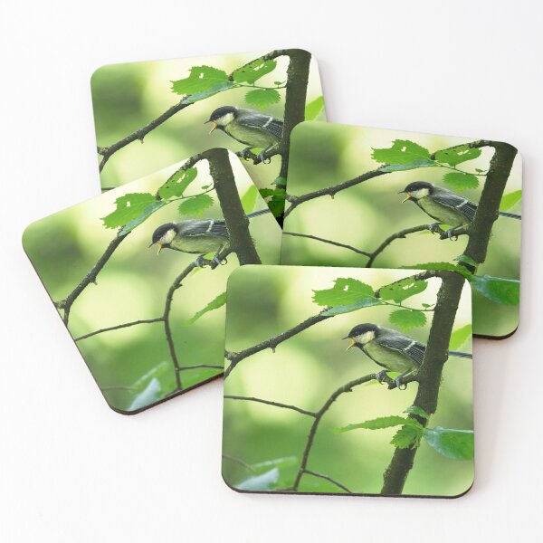 Item preview, Great tit (Parus major) calling for its mate designed and sold by Stephen Jarman.