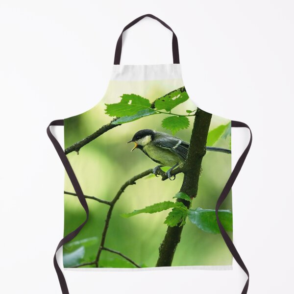 Item preview, Great tit (Parus major) calling for its mate designed and sold by Stephen Jarman.