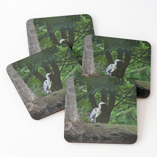 Item preview, Grey heron standing aside a pond designed and sold by Stephen Jarman.