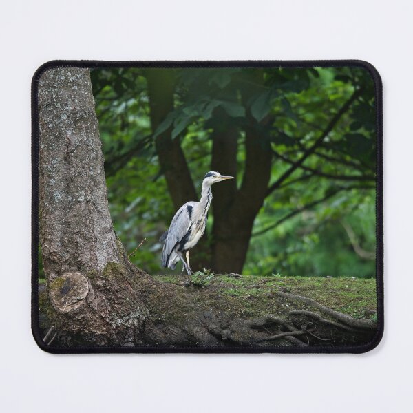 Item preview, Grey heron standing aside a pond designed and sold by Stephen Jarman.