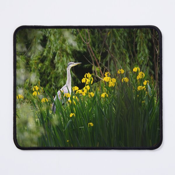 Item preview, Grey heron behind yellow flowers designed and sold by Stephen Jarman.