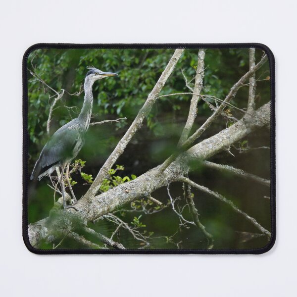 Item preview, Grey heron stands on fallen tree above lake designed and sold by Stephen Jarman.