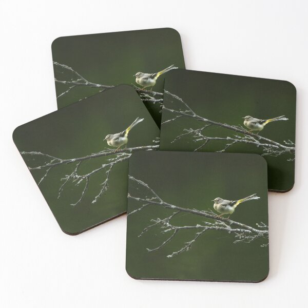 Item preview, Grey wagtail (motacilla cinerea) standing on a tree branch designed and sold by Stephen Jarman.