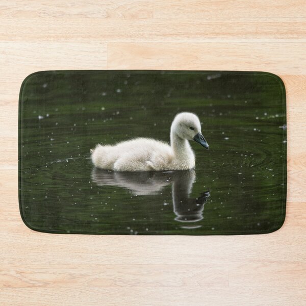 Item preview, Young mute swan (cygnus olor) designed and sold by Stephen Jarman.