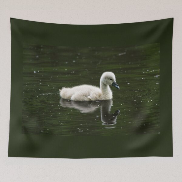 Item preview, Young mute swan (cygnus olor) designed and sold by Stephen Jarman.