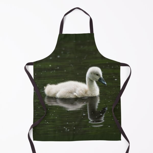 Item preview, Young mute swan (cygnus olor) designed and sold by Stephen Jarman.