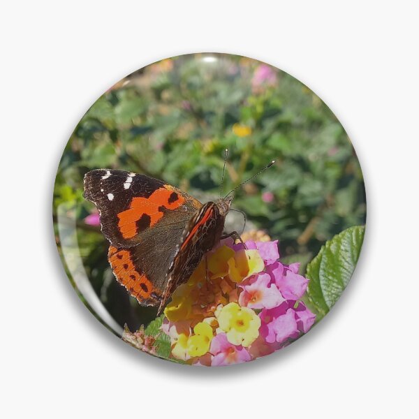 Item preview, Admiral on the lantana designed and sold by birgitsfotoshop.