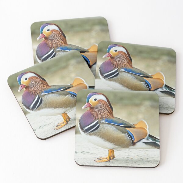 Item preview, Mandarin duck (Aix galericulata) designed and sold by Stephen Jarman.
