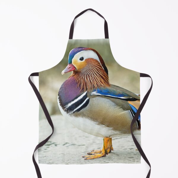 Item preview, Mandarin duck (Aix galericulata) designed and sold by Stephen Jarman.
