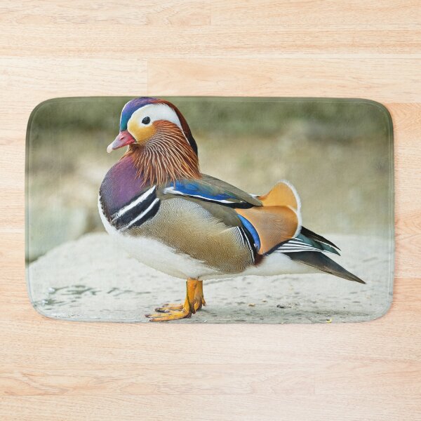 Item preview, Mandarin duck (Aix galericulata) designed and sold by Stephen Jarman.