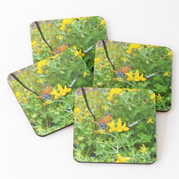 Item preview, Canary Blue butterfly on bird's-foot trefoil designed and sold by birgitsfotoshop.