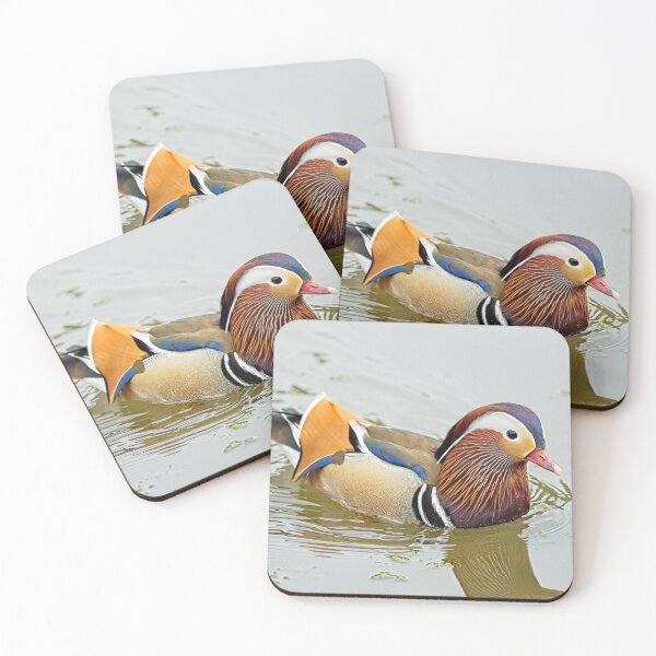 Item preview, Mandarin duck (Aix galericulata) designed and sold by Stephen Jarman.