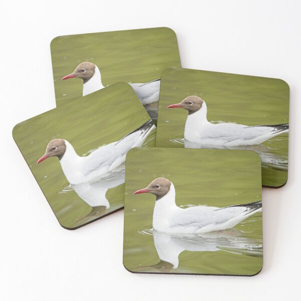 Item preview, Black headed gull (Chroicocephalus ridibundus) designed and sold by Stephen Jarman.