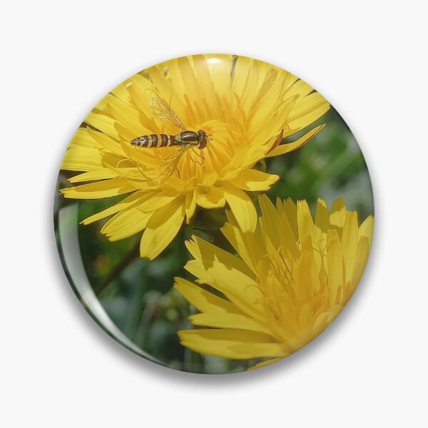 Item preview, Hoverfly on sow thistle designed and sold by birgitsfotoshop.