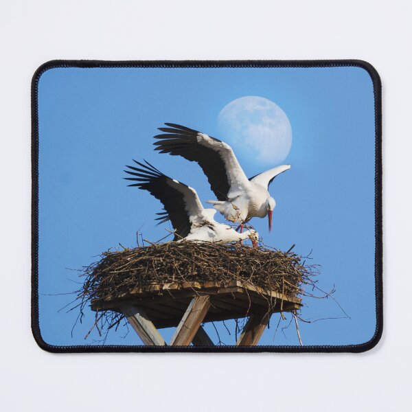 Item preview, Storks in front of the moon designed and sold by Deniis2204.