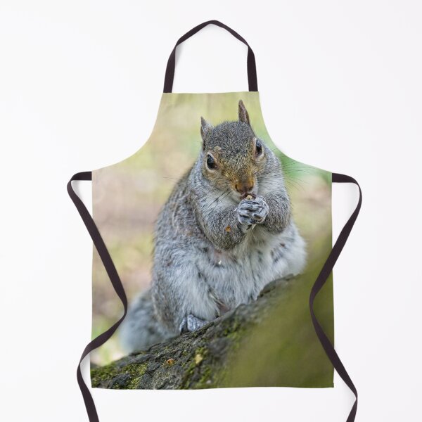 Item preview, Eastern grey squirrel (Sciurus carolinensis) eating designed and sold by Stephen Jarman.