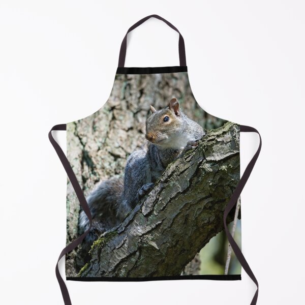 Item preview, Eastern grey squirrel (Sciurus carolinensis) sitting in a tree designed and sold by Stephen Jarman.