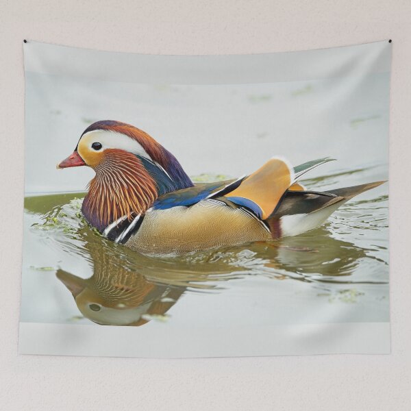 Item preview, Mandarin duck (Aix galericulata) designed and sold by Stephen Jarman.