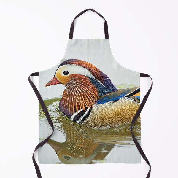 Item preview, Mandarin duck (Aix galericulata) designed and sold by Stephen Jarman.