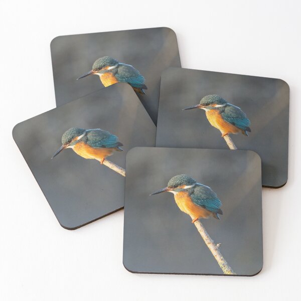Item preview, Common Kingfisher (Alcedo atthis) perched on a branch designed and sold by Stephen Jarman.