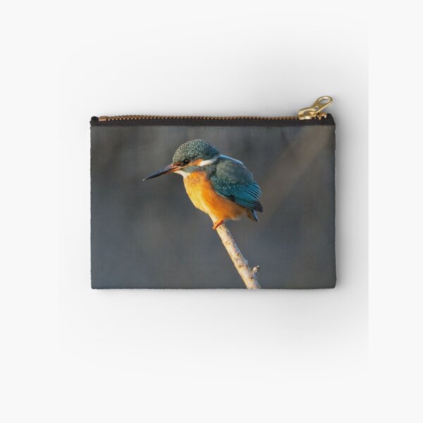 Item preview, Common Kingfisher (Alcedo atthis) perched on a branch designed and sold by Stephen Jarman.