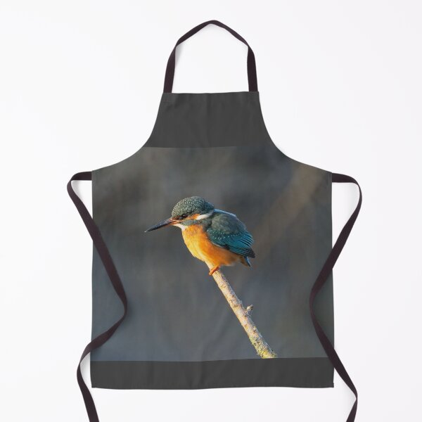 Item preview, Common Kingfisher (Alcedo atthis) perched on a branch designed and sold by Stephen Jarman.