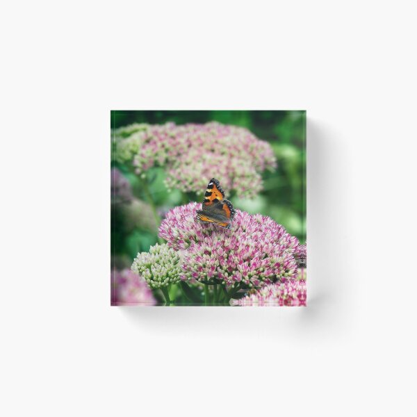 Item preview, Small Tortoiseshell butterfly  designed and sold by Stephen Jarman.