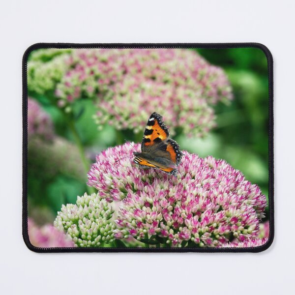 Item preview, Small Tortoiseshell butterfly designed and sold by Stephen Jarman.