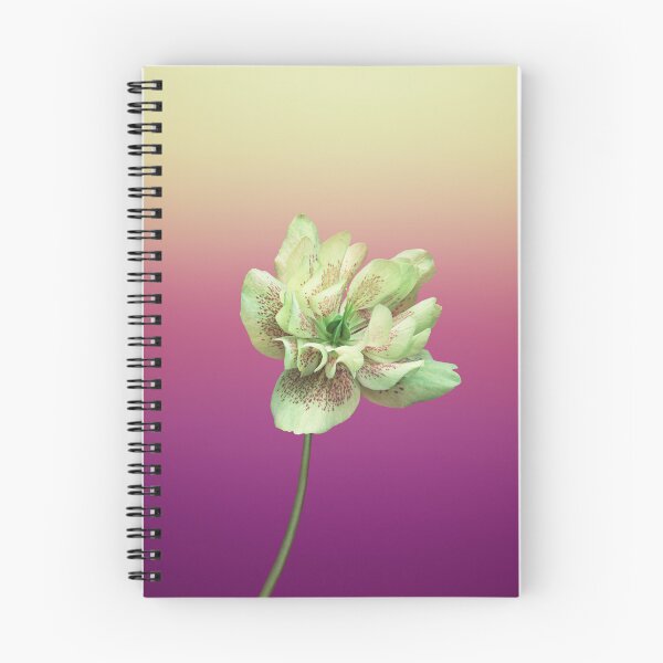 Item preview, beautiful flower catered with glamorous gradient  designed and sold by AYA123-415.
