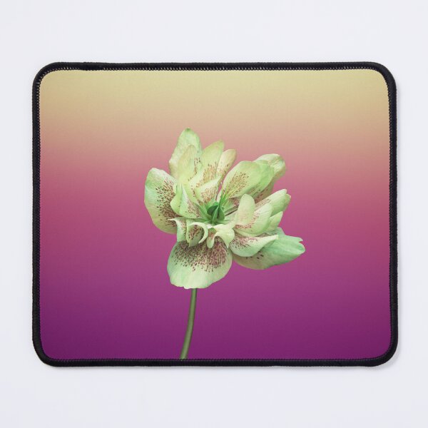 Item preview, beautiful flower catered with glamorous gradient  designed and sold by AYA123-415.