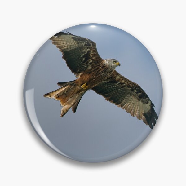 Item preview, Red kite saws overhead designed and sold by Stephen Jarman.