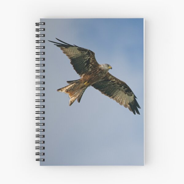 Item preview, Red kite saws overhead designed and sold by Stephen Jarman.