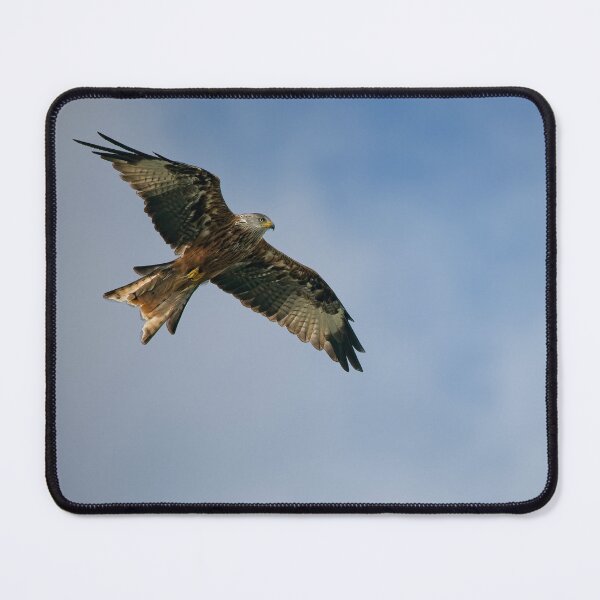 Item preview, Red kite saws overhead designed and sold by Stephen Jarman.