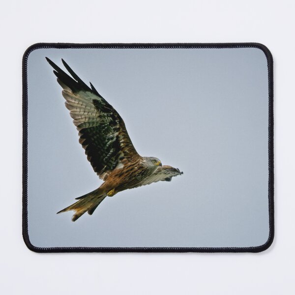 Item preview, Red kite flies above designed and sold by Stephen Jarman.